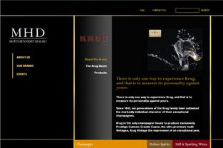 網(wǎng)站不斷發(fā)展新功能,同時(shí)也為閣下在業(yè)務(wù)上帶來不少方便,包括全天侯展示商品及服務(wù) 和客人的互動聯(lián)系 節(jié)省工作時(shí)間及人手等