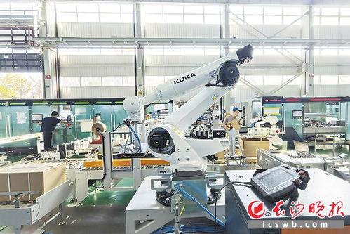 楚天科技 全球首創“液氮冰鎧甲”技術，賦能益生菌產業新突破