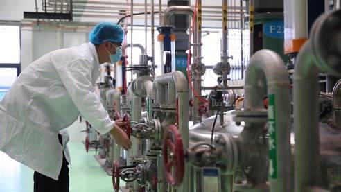 責任民企顯擔當，靠上服務助復產——泰安生物技術企業馳援抗疫一線