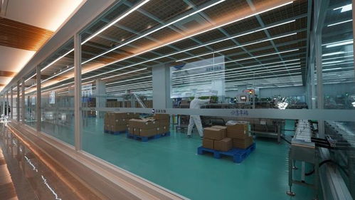 未來生物 以卓越品質與專業服務，鑄就生物技術開發領域的信賴之選